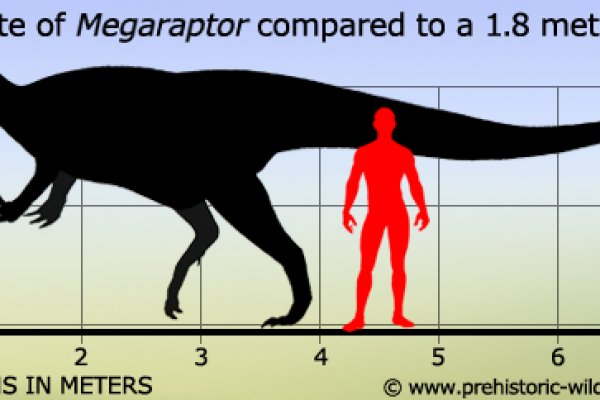Кракен зеркало krk market com