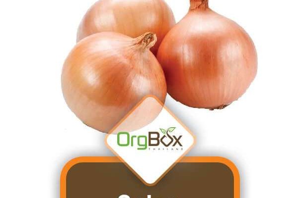 Ссылка на кракен onion kraken dark link